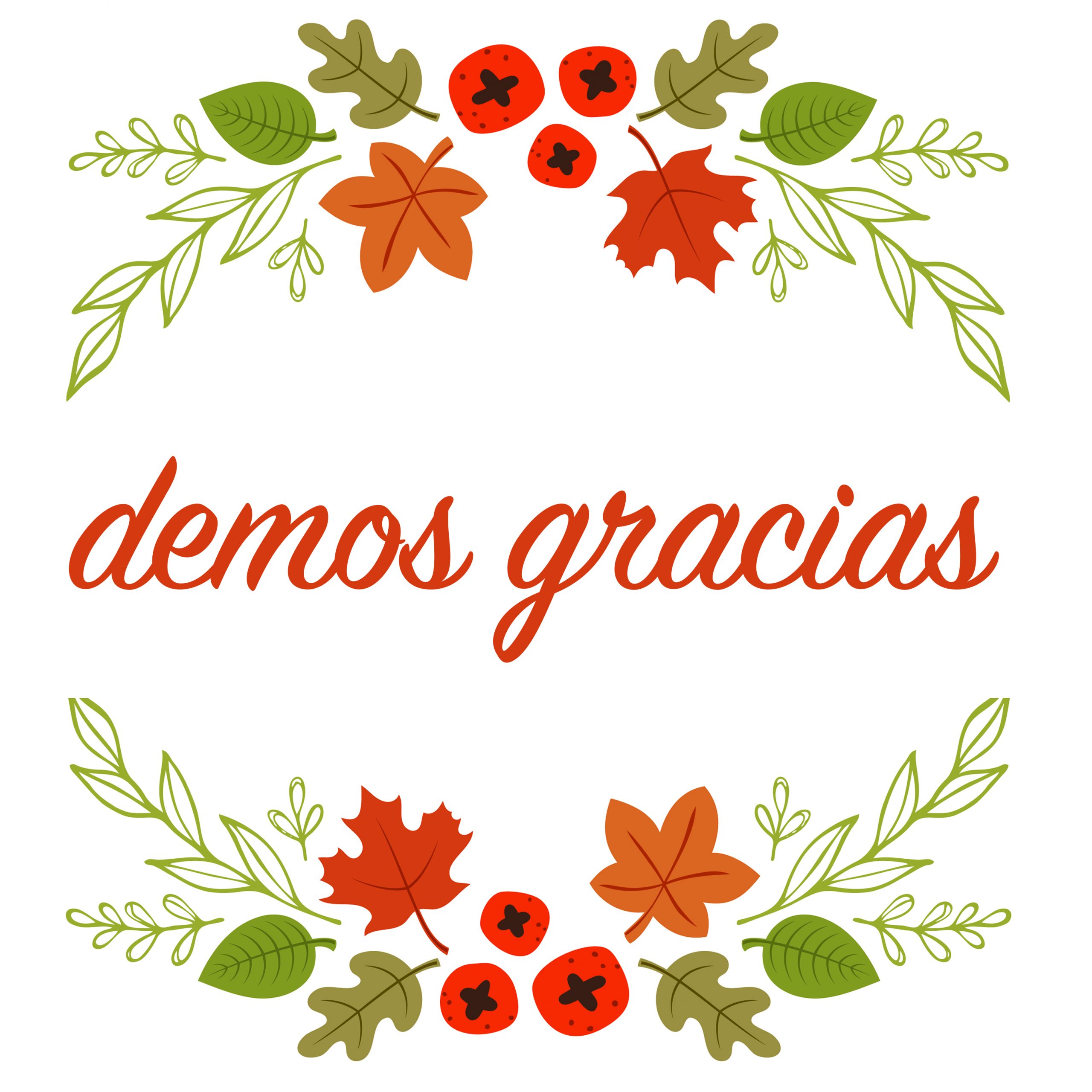 Gracias por su apoyo | Simplifying The Market